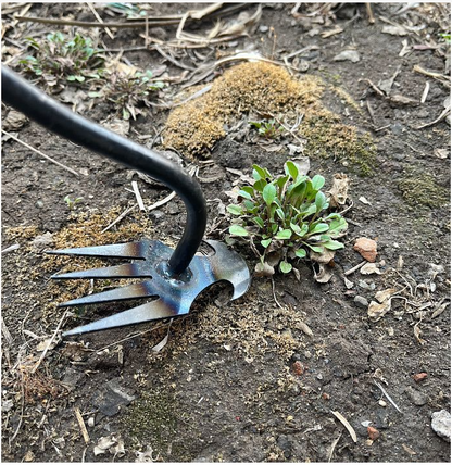WeedWorks Weed Removal Tool