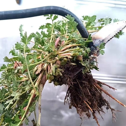 WeedWorks Weed Removal Tool